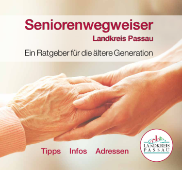 senioren-2020_Seniorenwegweiser.pdf  